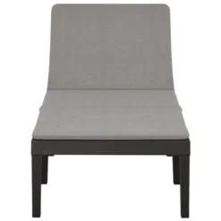 Chaise Longue Avec Coussin Plastique Anthracite -Le Coin Jardin chaise longue avec coussin plastique anthracite 3666722351706 947261
